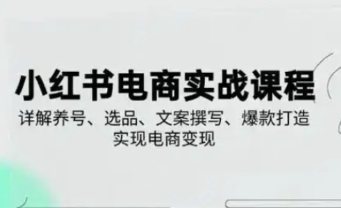 小红书从0-1实操课(2023-2025)，详解养号、选品、文案撰写、爆款打造实现电商变现-华创副业项目资源站