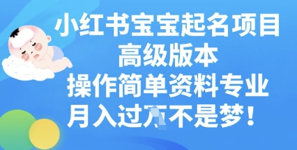 小红书宝宝起名项目高级版本，操作简单，资料专业，月入过W-华创副业项目资源站