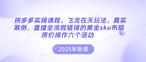 拼多多实操课程，飞龙在天玩法，真实案例，直播全流程链接的黄金sku布局原价操作六个活动-华创副业项目资源站