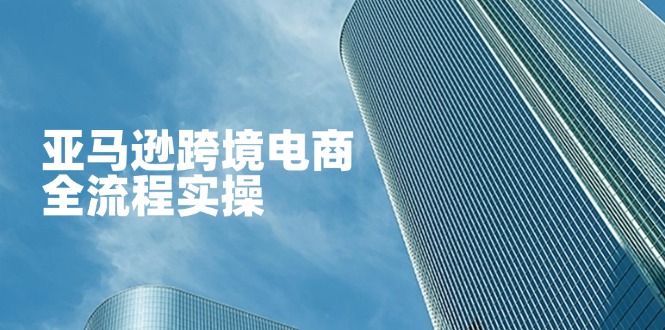 （14252期）亚马逊跨境电商全流程实操，教你从零开始，掌握店铺运营与广告技巧-华创副业项目资源站