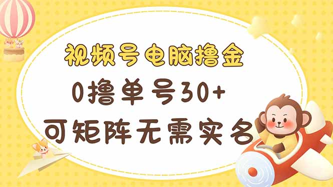 （14220期）视频号电脑撸金 0撸单号30+ 可矩阵 无需实名多号多得-华创副业项目资源站