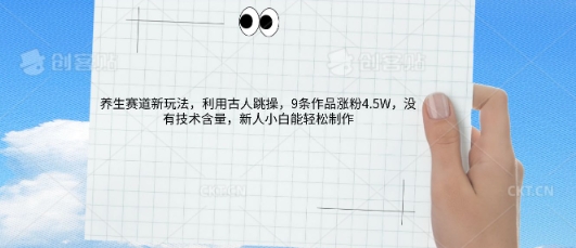 AI养生赛道新玩法，10条作品涨粉5.2W，操作简单，新人小白能轻松制作-华创副业项目资源站