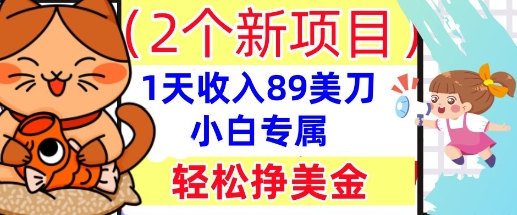 2个新项目，轻松挣美金， 1天收入89美刀，小白专属，干货分享-华创副业项目资源站