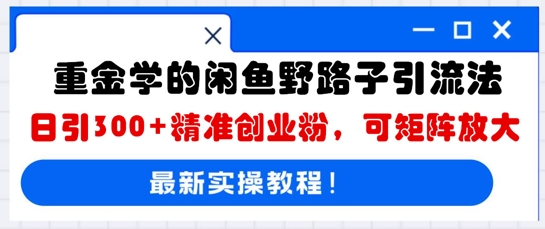 重金学的闲鱼野路子引流法，日引300+精准创业粉，可矩阵放大-华创副业项目资源站