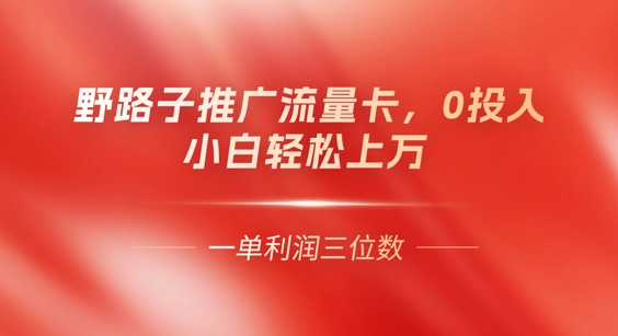 0门槛推广流量卡，一单收益上百，0投入，小白月入过W-华创副业项目资源站