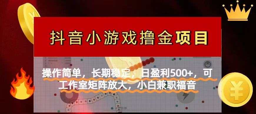（14290期）【抖音小游戏发行人计划项目】操作简单，长期稳定，日盈利500+，可工作...-华创副业项目资源站