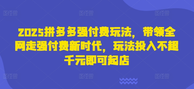 2025拼多多强付费玩法，带领全网走强付费新时代，玩法投入不超千元即可起店-华创副业项目资源站