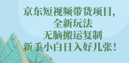 京东短视频带货项目，全新玩法，无脑搬运复制，新手小白日入好几张!-华创副业项目资源站