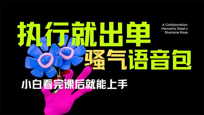 （14170期）爆火全网的开车导航骚气语音包,只要执行就出单，小白看完课程就能实操...-华创副业项目资源站