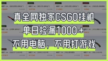 真全网独家CSGO挂G，单日捡漏1k+【揭秘】-华创副业项目资源站